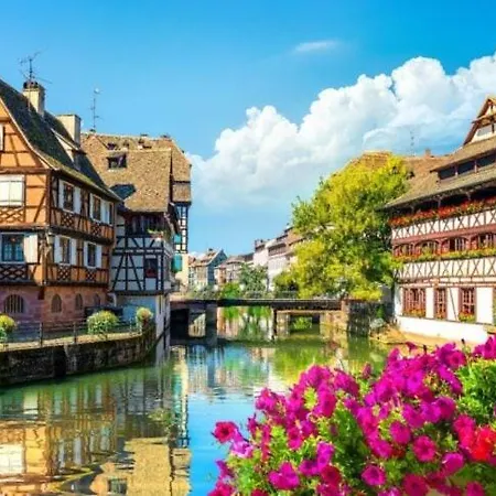 Apartment Flat Near Strasbourg *