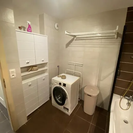 Flat Near Strasbourg *