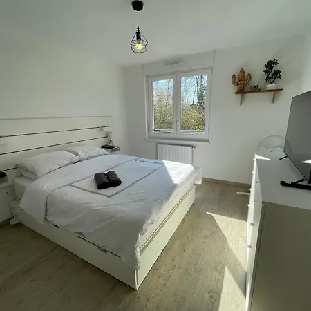 Flat Near Strasbourg Apartment *