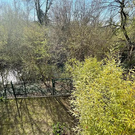 Flat Near Strasbourg