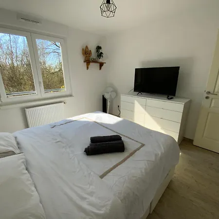 Flat Near Strasbourg Offendorf